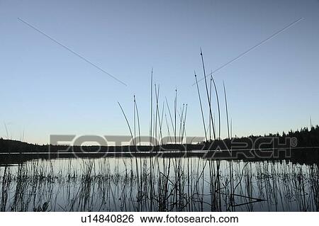Stock Photograph - Sunset at Katherine Lake, Riding Mountain National Park; Canada, Manitoba. Fotosearch