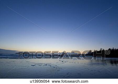 Sunset, Chesterman Beach, Tofino, Vancouver Island, BC View Large Photo Image Picture - Sunset, Chesterman Beach, Tofino, Vancouver Island, BC. Fotosearch