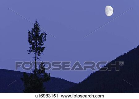 View of moon and mountains, Gaspesie, Quebec View Large Photo Image Stock Image - View of moon and mountains, Gaspesie, Quebec. Fotosearch