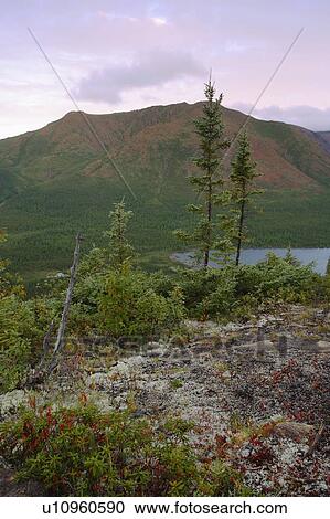 Stock Image - View of Mount Albert from Mount Olivine, Gaspesie National Park, Quebec. Fotosearch