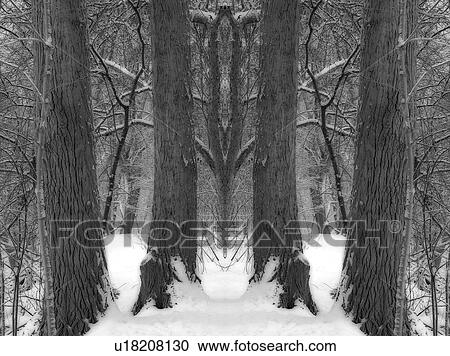 Blythwood Ravine, park near Lawrence and Yonge, Toronto, Ontario, Canada View Large Photo Image Stock Image - Blythwood Ravine, park near Lawrence and Yonge, Toronto, Ontario, Canada. Fotosearch