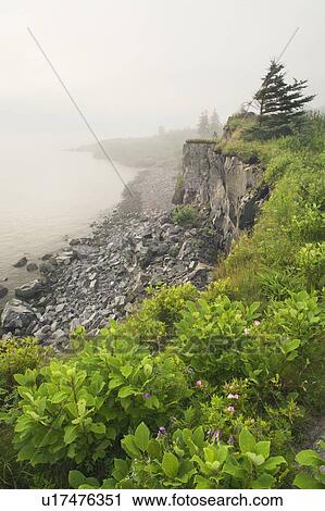 Stock Image - Digby Gut in fog from Point Prim, Digby, Nova Scotia, Canada. Fotosearch