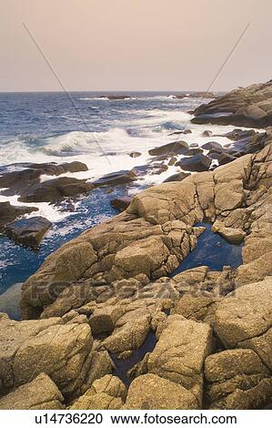 Duncan's Cove, provincial nature reserve at Chebucto Head Lighthouse, Nova Scotia, Canada View Large Photo Image Stock Image - Duncan's Cove, provincial nature reserve at Chebucto Head Lighthouse, Nova Scotia, Canada. Fotosearch