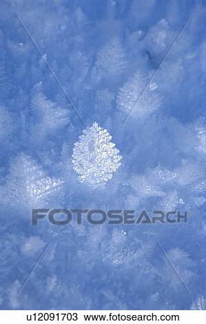 Ice crystal View Large Photo Image Stock Image - Ice crystal. Fotosearch