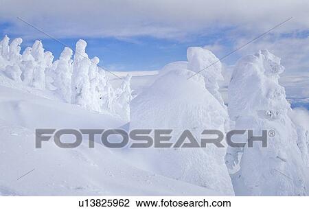 Snow giants are trees covered in hoar frost, Mt. Washington ski area, Vancouver Island, BC View Large Photo Image Stock Image - Snow giants are trees covered in hoar frost, Mt. Washington ski area, Vancouver Island, BC. Fotosearch
