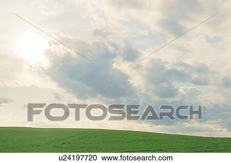 Spring crop; Canada, Manitoba, Minnedosa View Large Photo Image Stock Image - Spring crop; Canada, Manitoba, Minnedosa. Fotosearch