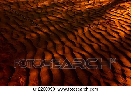 Desert-like conditions in the fragile ecosystem of the Great Sand Hills of Saskatchewan, Canada View Large Photo Image Stock Image - Desert-like conditions in the fragile ecosystem of the Great Sand Hills of Saskatchewan, Canada. Fotosearch