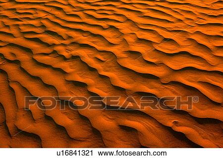Desert-like conditions in the fragile ecosystem of the Great Sand Hills of Saskatchewan, Canada View Large Photo Image Stock Image - Desert-like conditions in the fragile ecosystem of the Great Sand Hills of Saskatchewan, Canada. Fotosearch