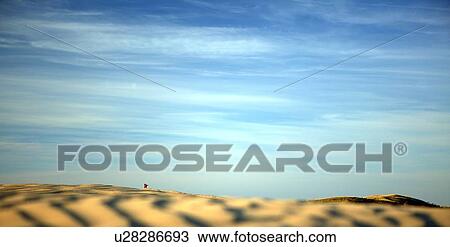 Desert-like conditions in the fragile ecosystem of the Great Sand Hills of Saskatchewan, Canada View Large Photo Image Stock Image - Desert-like conditions in the fragile ecosystem of the Great Sand Hills of Saskatchewan, Canada. Fotosearch