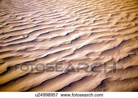 Desert-like conditions in the fragile ecosystem of the Great Sand Hills of Saskatchewan, Canada View Large Photo Image Stock Photo - Desert-like conditions in the fragile ecosystem of the Great Sand Hills of Saskatchewan, Canada. Fotosearch