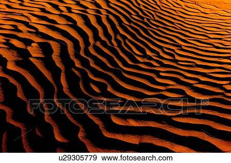 Stock Photo - Desert-like conditions in the fragile ecosystem of the Great Sand Hills of Saskatchewan, Canada. Fotosearch