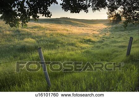 Stock Image - Fence and pasture land, Alberta, Canada. Fotosearch