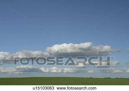 Fluffy clouds over green crops; Canada, Manitoba, Erickson View Large Photo Image Stock Image - Fluffy clouds over green crops; Canada, Manitoba, Erickson. Fotosearch