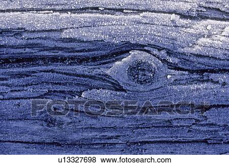Frost outlines a knot in a frosty log, Whistler, BC View Large Photo Image Stock Photo - Frost outlines a knot in a frosty log, Whistler, BC. Fotosearch