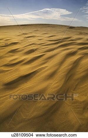 Great Sandhills, Saskatchewan, Canada View Large Photo Image Picture - Great Sandhills, Saskatchewan, Canada. Fotosearch