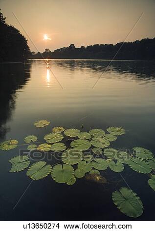 Picture - Lake Moodie - St Catharines, Ontario, Canada. Fotosearch