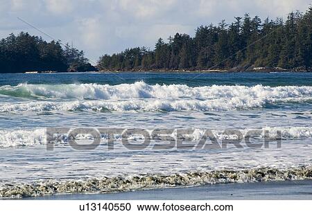 Long Beach, Tofino, Vancouver Island, BC View Large Photo Image Stock Image - Long Beach, Tofino, Vancouver Island, BC. Fotosearch