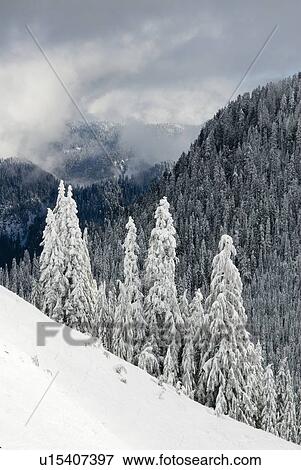 Stock Photo - North Shore mountains, Vancouver, BC. Fotosearch