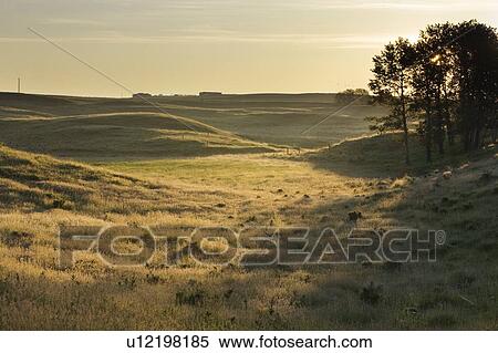 Pasture land, Alberta, Canada View Large Photo Image Stock Photography - Pasture land, Alberta, Canada. Fotosearch