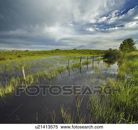 Pastureland after rain storm near Cochrane Alberta Canada View Large Photo Image Stock Photography - Pastureland after rain storm near Cochrane Alberta Canada. Fotosearch