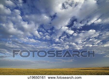 Stock Image - Rangeland and sky near Milk River, Alberta, Canada. Fotosearch