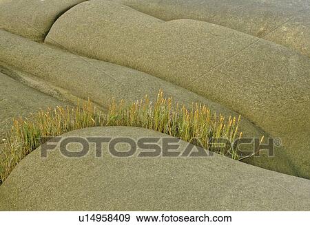 Stock Photo - Sandstone rocks, Hornby Island BC. Fotosearch