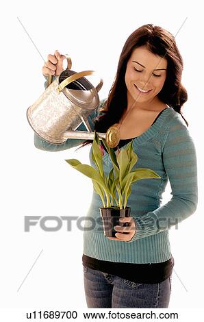 Young girl w/ watering can/Flower, Regina, Saskatchewan View Large Photo Image Stock Image - Young girl w/ watering can/Flower, Regina, Saskatchewan. Fotosearch