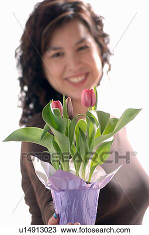 Young girl w/Flower, Regina, Saskatchewan View Large Photo Image Stock Image - Young girl w/Flower, Regina, Saskatchewan. Fotosearch