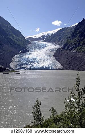 Bear Glacier, BC, Canada View Large Photo Image Stock Photo - Bear Glacier, BC, Canada. Fotosearch