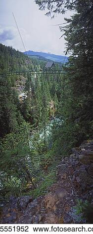 Stock Image - Bungee Jumping, Whistler, BC, Canada. Fotosearch