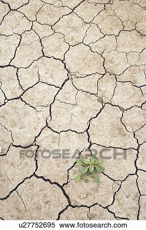 Stock Photography - Cracked earth near Leader, Saskatchewan, Canada. Fotosearch