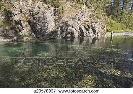 Stock Photo - Fly-fishing guide, Russ Trand, fly-fishing on tributary of Elk River near Fernie, Elk Valley, East Kootenays, British Columbia, Canada.. Fotosearch