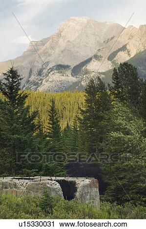Lower Bankhead and Mt. Inglismaldie, Banff National Park, Alberta, Canada View Large Photo Image Stock Image - Lower Bankhead and Mt. Inglismaldie, Banff National Park, Alberta, Canada. Fotosearch