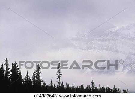 Mt. Chephren, Banff National Park, Alberta, Canada View Large Photo Image Stock Image - Mt. Chephren, Banff National Park, Alberta, Canada. Fotosearch
