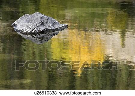 Rocks in water - Medicine Lake - Jasper National Park, Alberta, Canada View Large Photo Image Stock Photo - Rocks in water - Medicine Lake - Jasper National Park, Alberta, Canada. Fotosearch