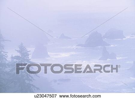 Stock Photo - Sea stacks along the Pacific Coast, Samuel H. Boardman State Park, Oregon Coast, Oregon USA. Fotosearch