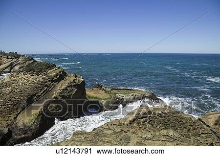 Shore Acres State Park, Oregon, USA View Large Photo Image Stock Image - Shore Acres State Park, Oregon, USA. Fotosearch