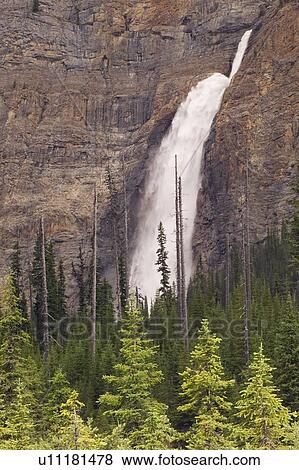 Takakkaw Falls, Yoho National Park, BC, Canada View Large Photo Image Stock Photo - Takakkaw Falls, Yoho National Park, BC, Canada. Fotosearch