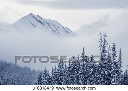 Stock Photo - Kananaskis Country in Winter, Peter Lougheed Provincial Park, Alberta, Canada. Fotosearch