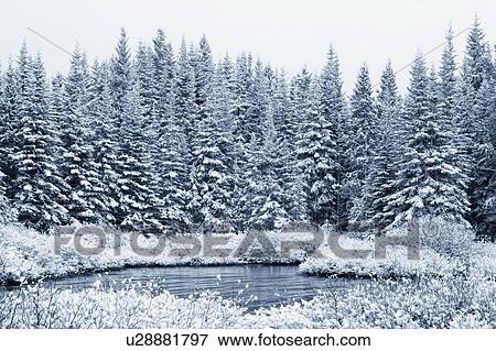 Stock Photo - Lower Kananaskis Lake, Peter Lougheed Provincial Park, Alberta, Canada. Fotosearch