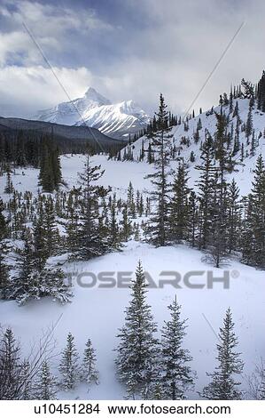 Mount Sarbach and the North Saskatchewan River in winter - Banff National Park, Alberta, Canada View Large Photo Image Picture - Mount Sarbach and the North Saskatchewan River in winter - Banff National Park, Alberta, Canada. Fotosearch