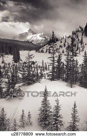 Mountt Sarbach and the North Saskatchewan River in Winter - Banff National Park, Alberta, Canada View Large Photo Image Stock Photo - Mountt Sarbach and the North Saskatchewan River in Winter - Banff National Park, Alberta, Canada. Fotosearch