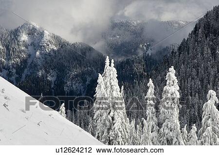 Stock Image - North Shore mountains, Vancouver, BC. Fotosearch