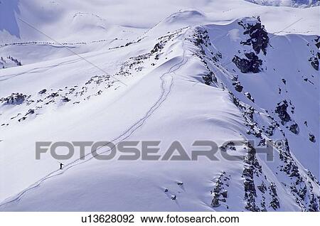 Skier walks up Piccolo Mtn, fresh winter snow, Whistler, B. C. View Large Photo Image Stock Image - Skier walks up Piccolo Mtn, fresh winter snow, Whistler, B. C.. Fotosearch