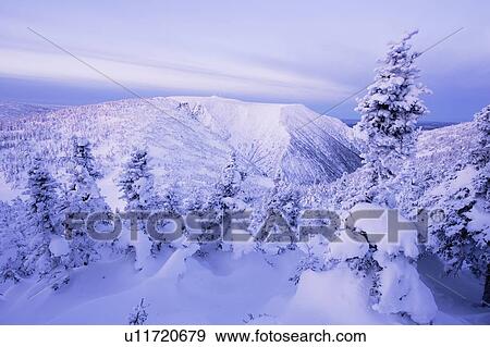 Stock Photo - View of Mont Logan and snow-covered trees at dawn, Quebec, Canada.. Fotosearch