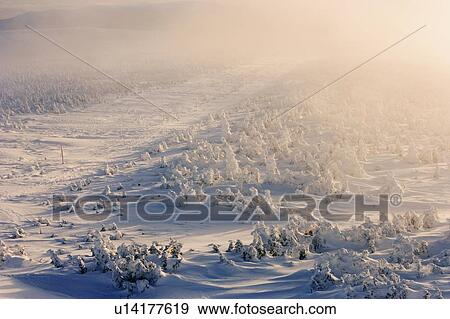 Stock Photo - View of snow-covered trees and blowing snow at Mont Logan at sunrise, Quebec, Canada.. Fotosearch