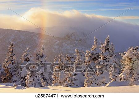 View of snow-covered trees, frost rainbow and Mont Logan at sunset, Quebec, Canada View Large Photo Image Stock Image - View of snow-covered trees, frost rainbow and Mont Logan at sunset, Quebec, Canada. Fotosearch