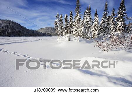 Stock Photo - View of Thibault lake, Quebec, Canada. Fotosearch