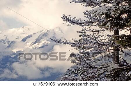 Winter vista, Whistler, BC Canada View Large Photo Image Stock Photograph - Winter vista, Whistler, BC Canada. Fotosearch