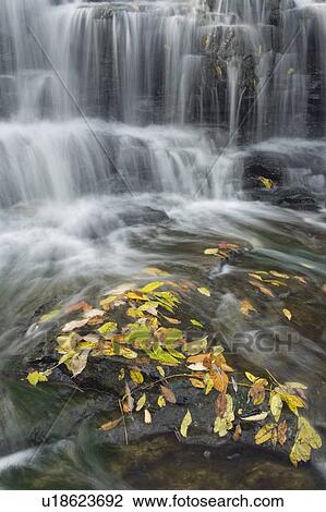 Fifteen mile Creek and Martins Falls - Rockway, Ontario, Canda View Large Photo Image Stock Image - Fifteen mile Creek and Martins Falls - Rockway, Ontario, Canda. Fotosearch